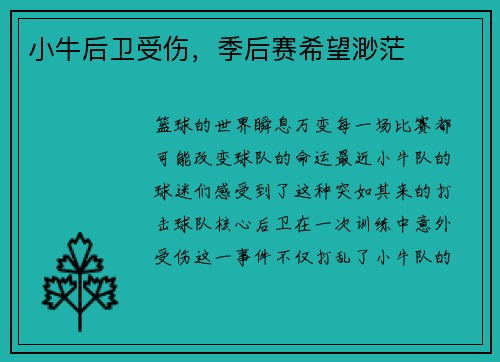 小牛后卫受伤，季后赛希望渺茫
