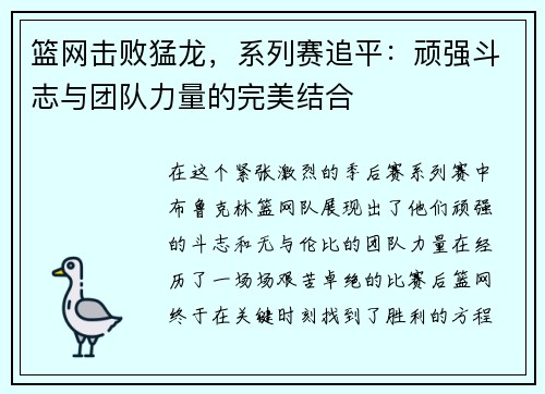 篮网击败猛龙，系列赛追平：顽强斗志与团队力量的完美结合